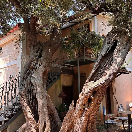 Villino Troccoli, Alice Apartment Marina di Camerota