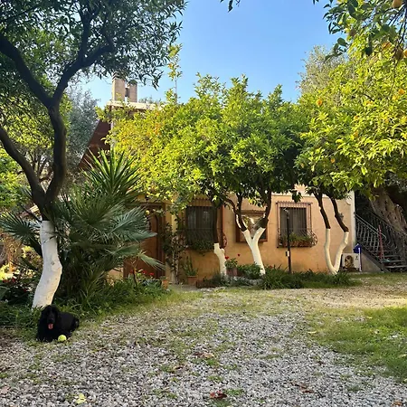 Villino Troccoli, Alice Apartment