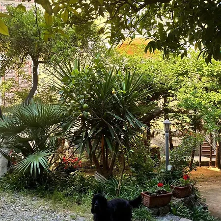 Villino Troccoli, Alice